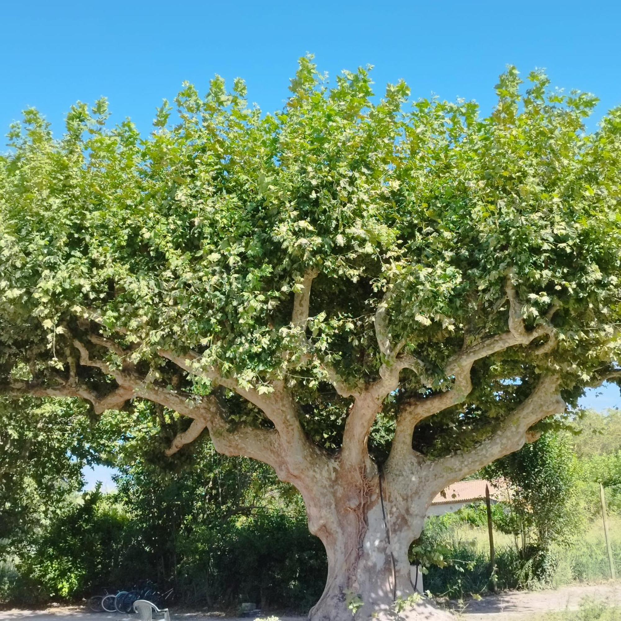 Hébergement de vacances Mas En Provence *