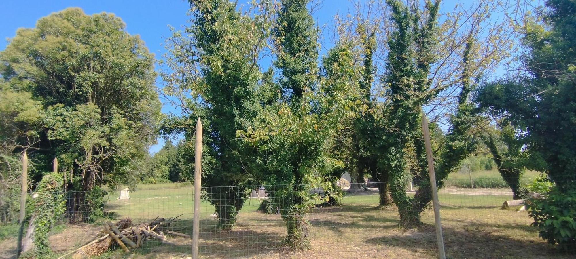 Hébergement de vacances Mas En Provence *
