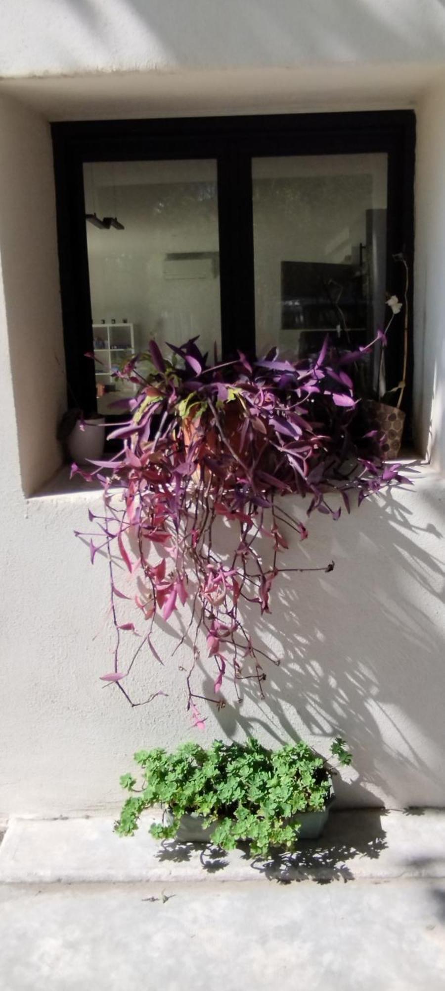 Mas En Provence * Le Thor